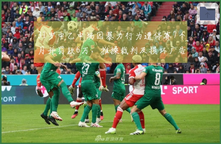 31岁中乙中场因暴力行为遭停赛7个月并罚款6万，推搡裁判及损坏广告板
